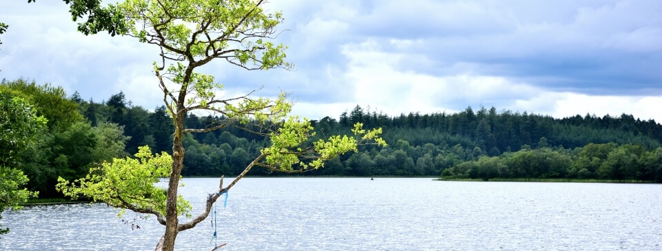 Stege Begravelse